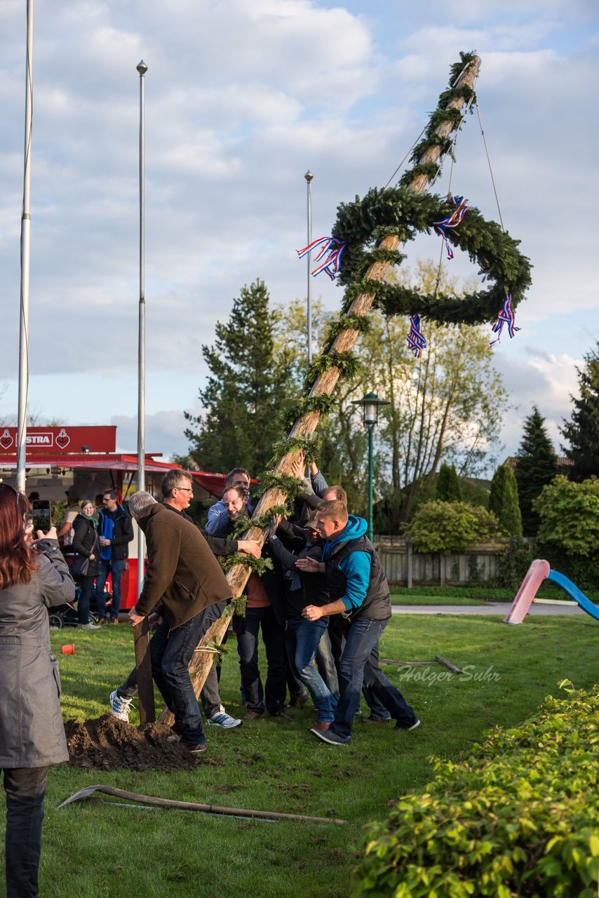 Bild 69 - Maibaum